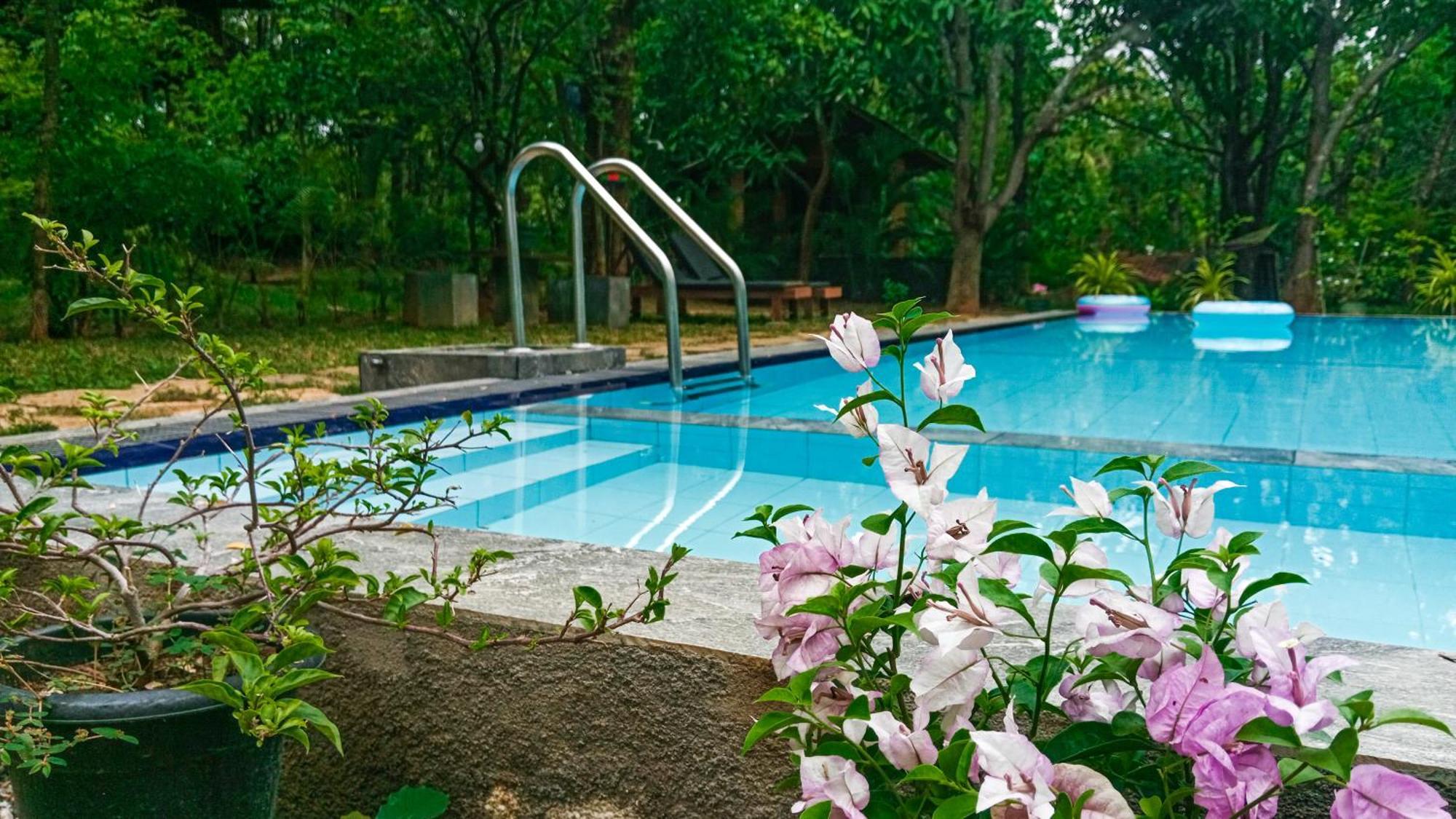 Lotus Eco Villa Sigiriya Exterior photo