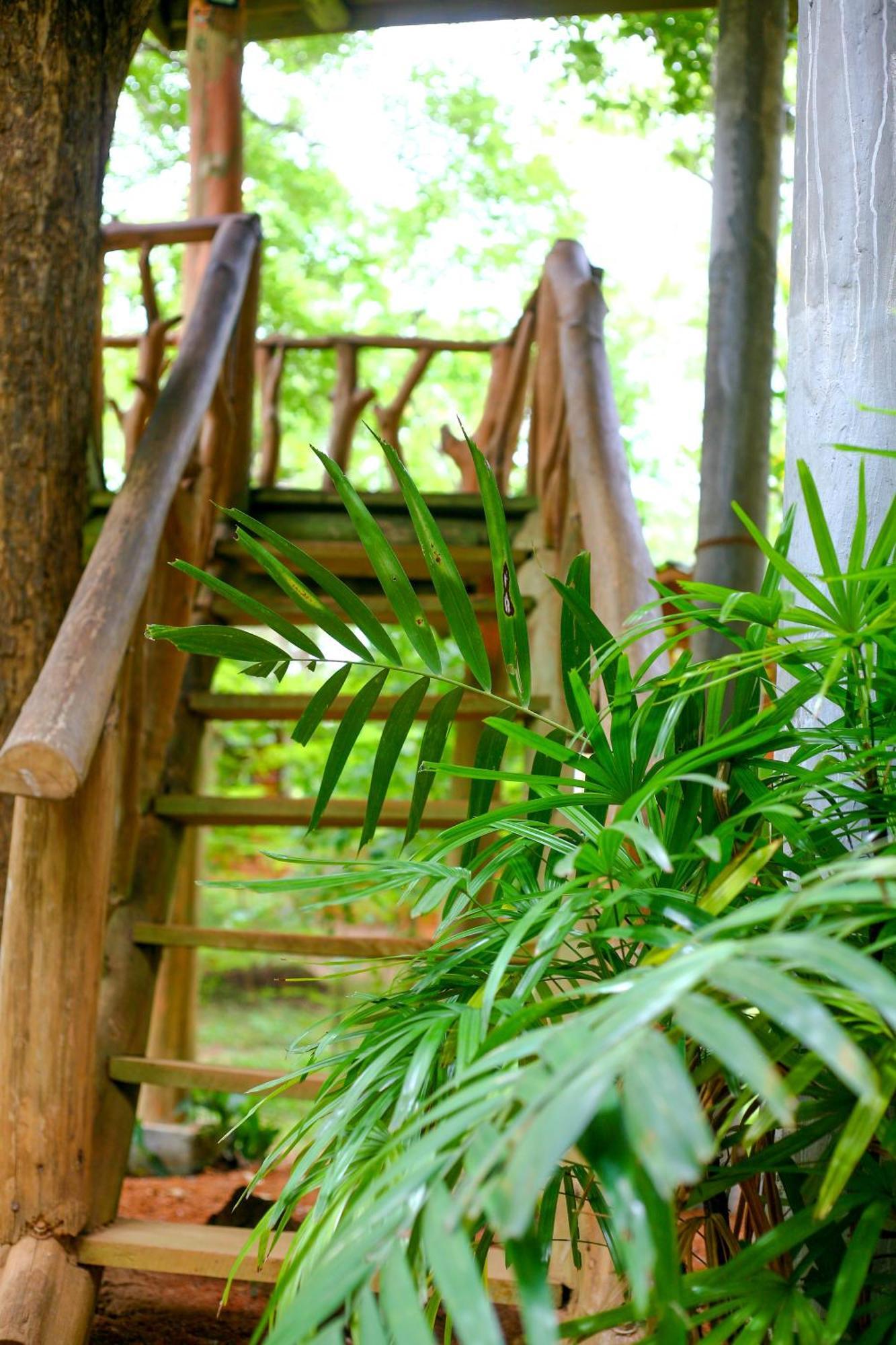 Lotus Eco Villa Sigiriya Exterior photo