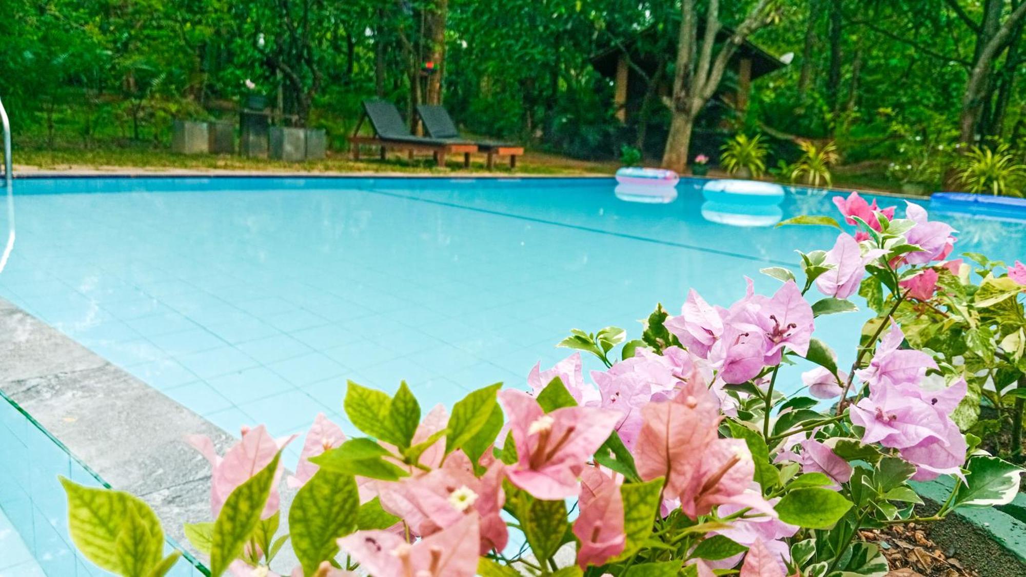 Lotus Eco Villa Sigiriya Exterior photo